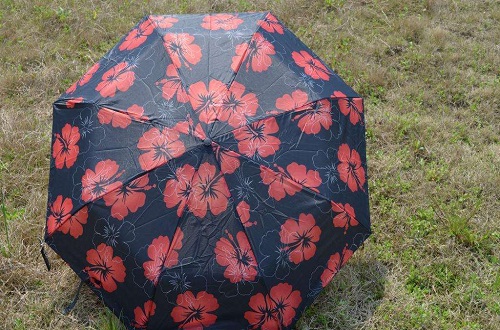中国晴雨伞什么牌子比较好，晴雨伞十大品牌排名