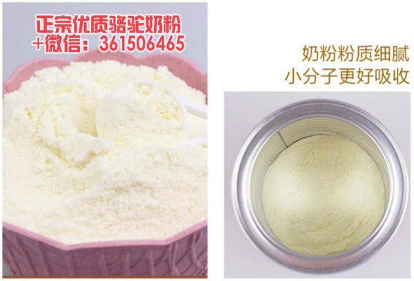 尊龙凯时人生就是博z6com品牌 尊龙凯时人生就是博z6com品牌