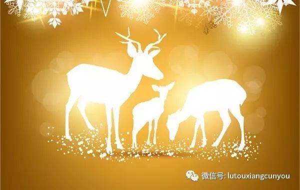 中国尊龙凯时人生就是博z6com品牌 中国尊龙凯时人生就是博z6com品牌