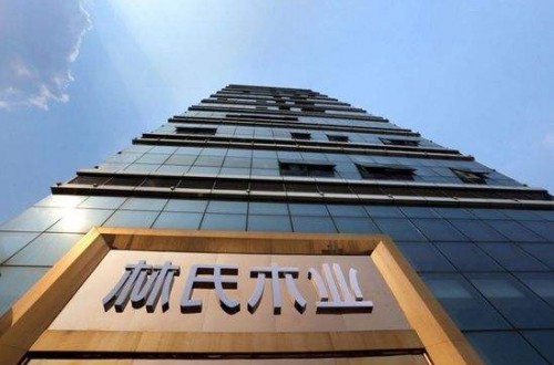 林氏木业家具旗舰店：带来青春 带来属于年轻人的理想